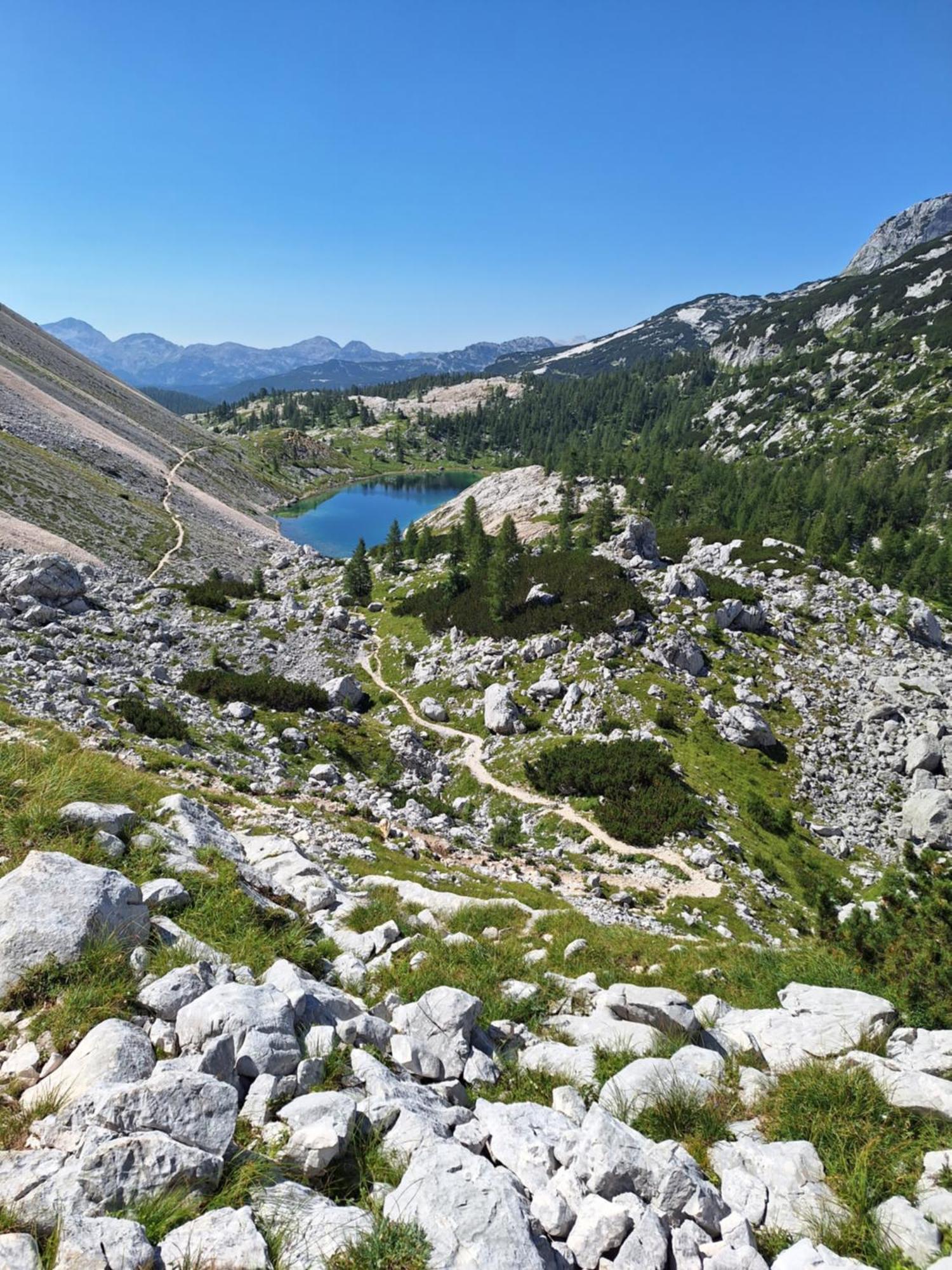Alpska Roza Lägenhet Kranjska Gora Exteriör bild